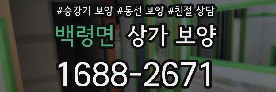 백령면 상가 보양