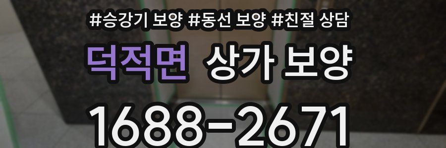 덕적면 상가 보양