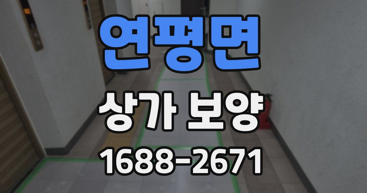 연평면 상가 보양