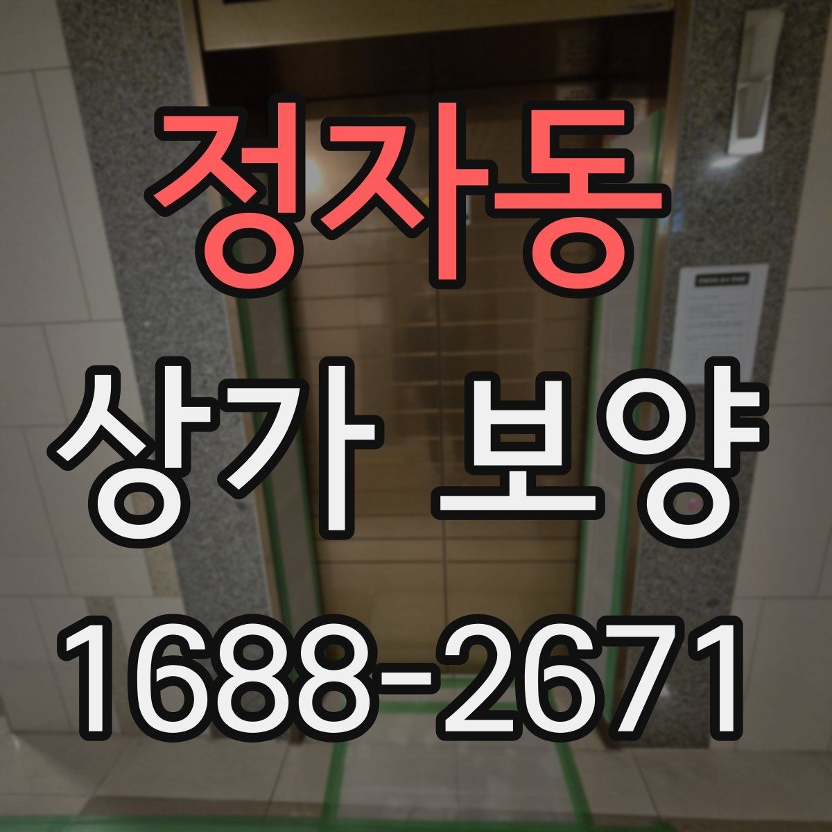 정자동 상가 보양 작업의 흐름을 한눈에 정리한 안내