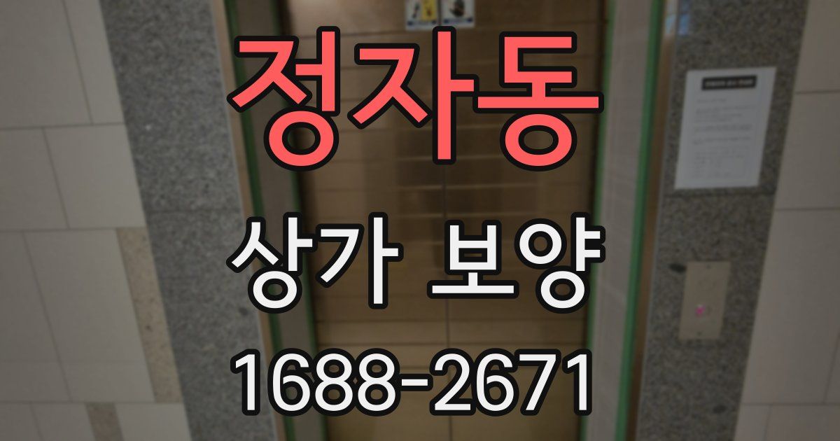 정자동 상가 보양