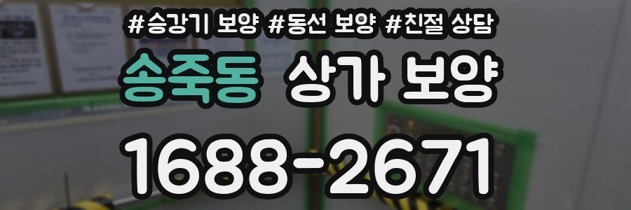 송죽동 상가 보양