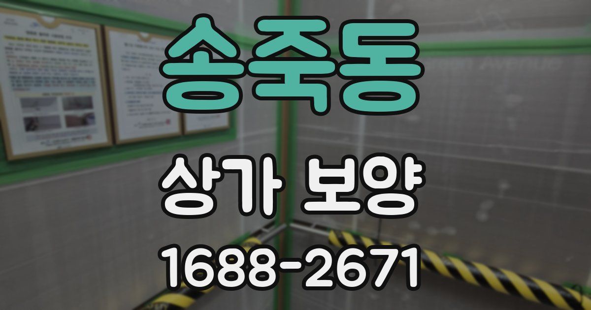 송죽동 상가 보양