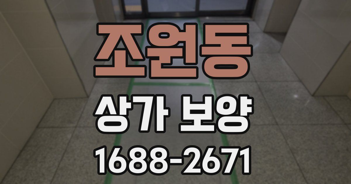 조원동 상가 보양