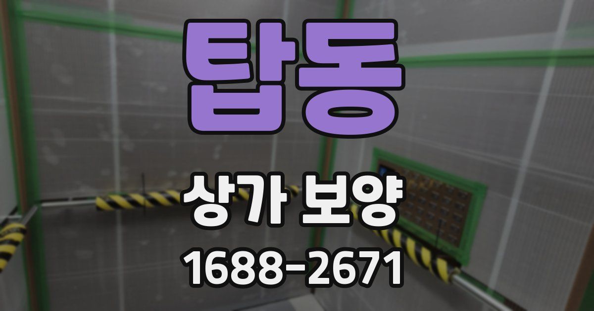 탑동 상가 보양