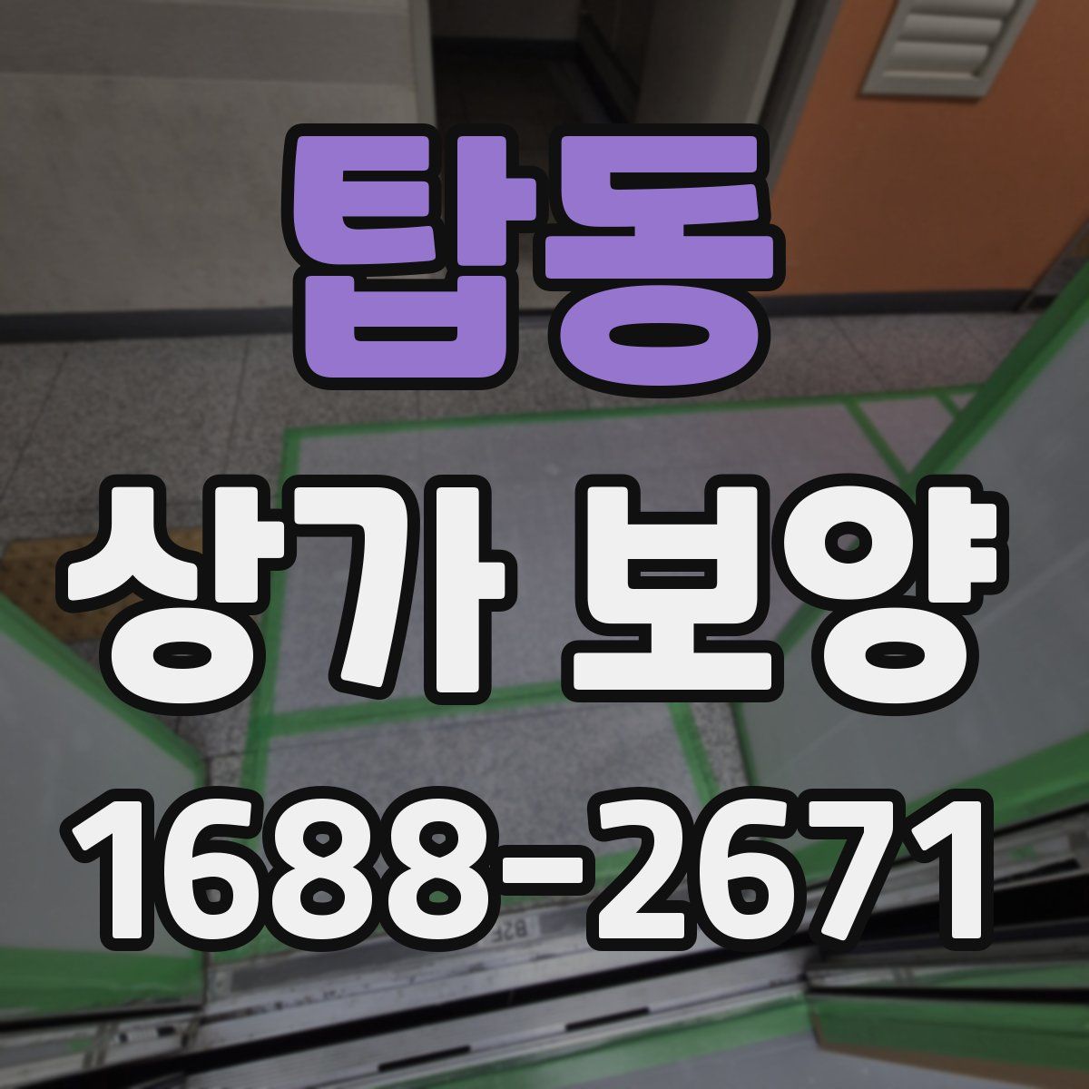 탑동 상가 보양
