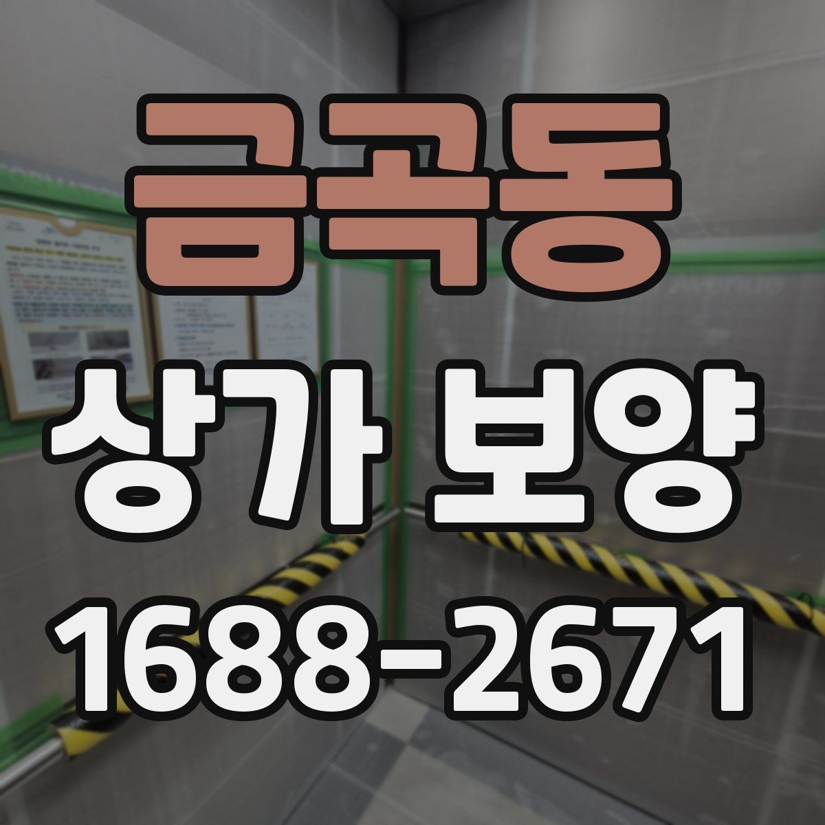 금곡동 상가 보양 시공 사례로 보는 보호 범위