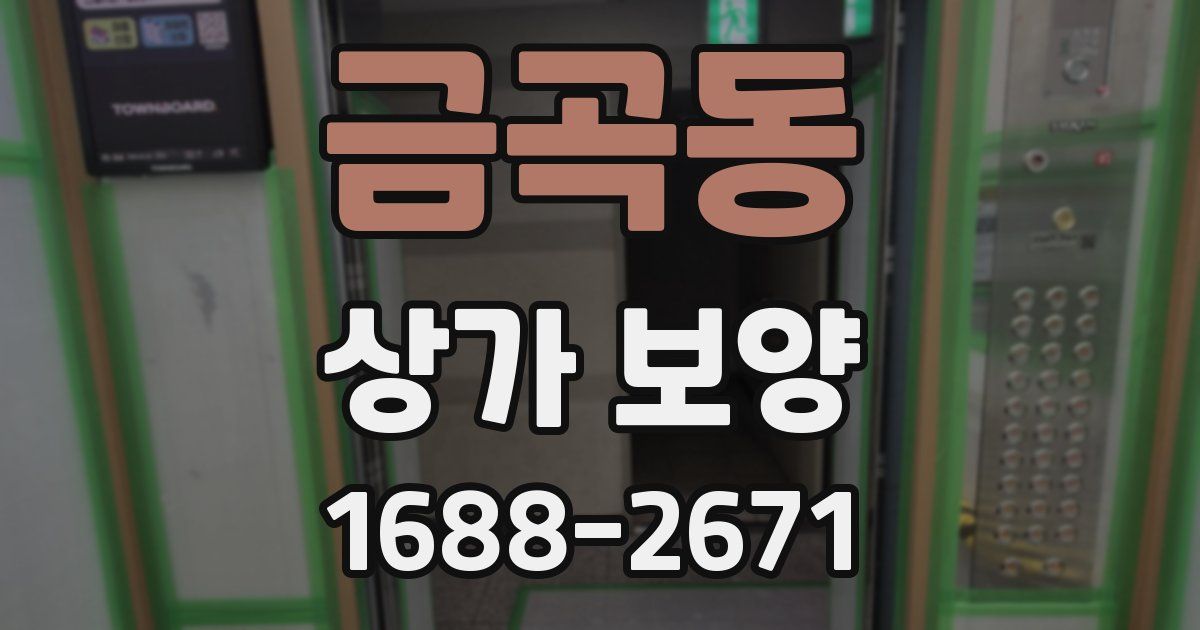금곡동 상가 보양