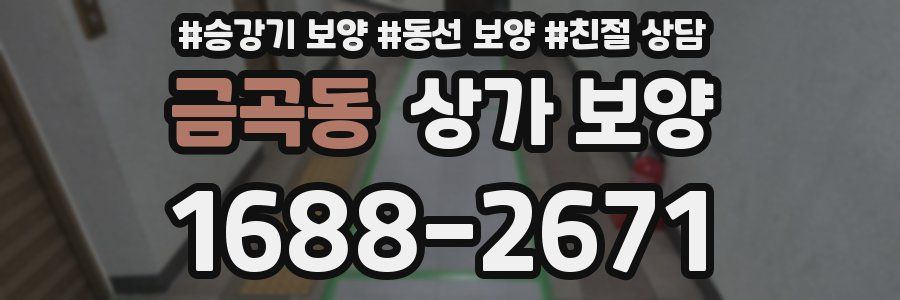 금곡동 상가 보양