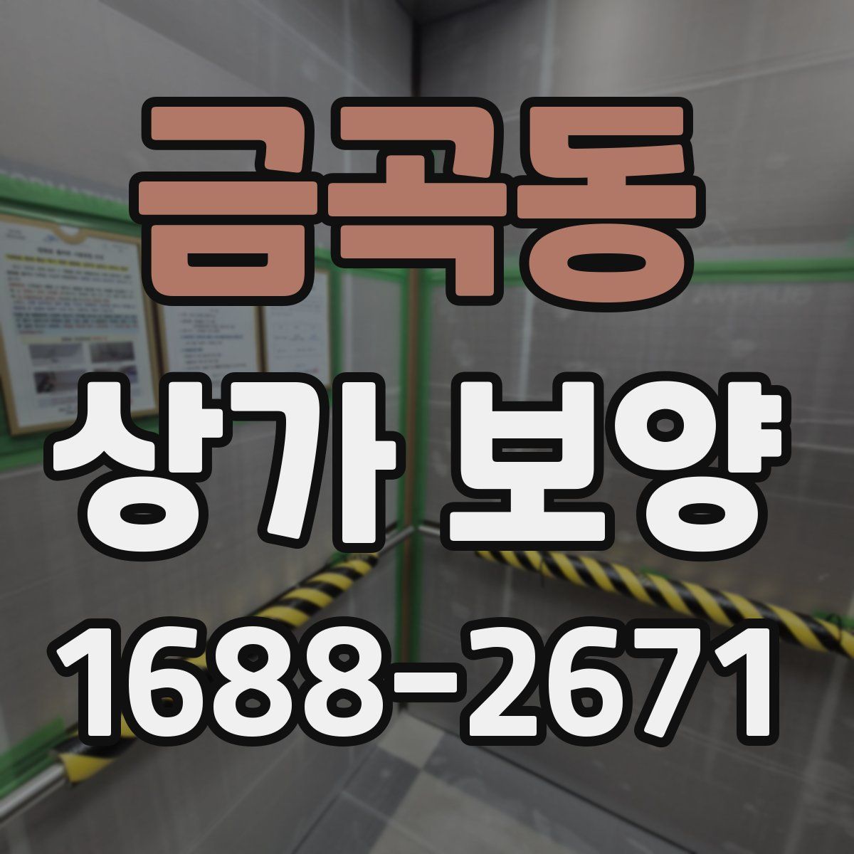 금곡동 상가 보양
