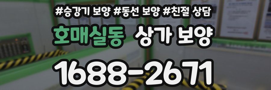 호매실동 상가 보양