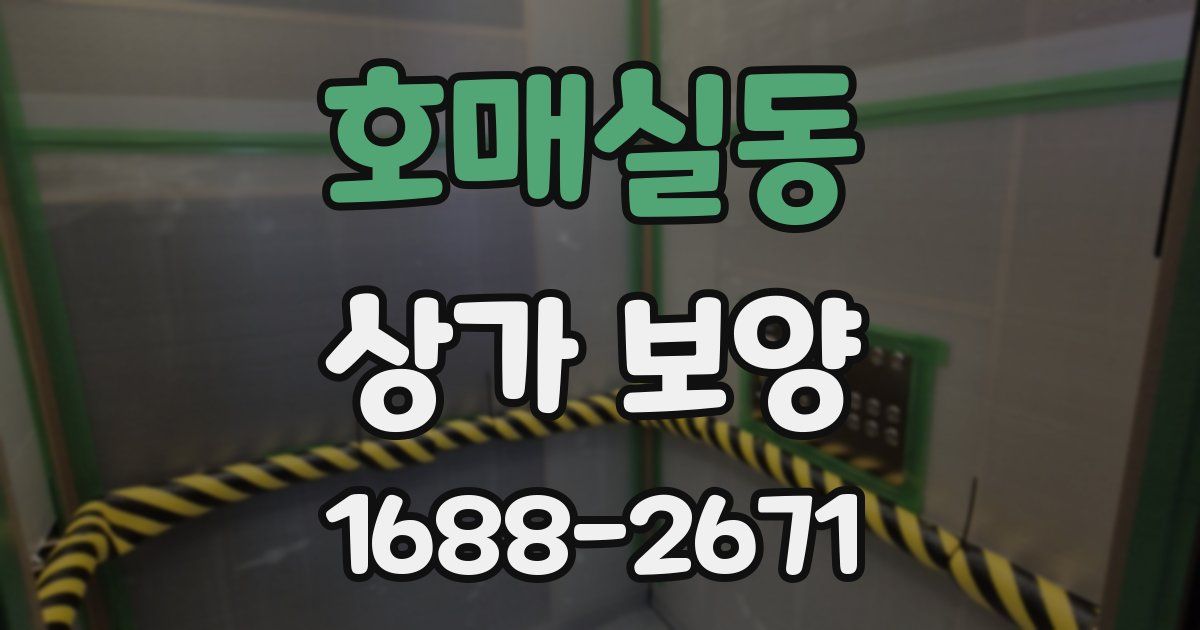 호매실동 상가 보양