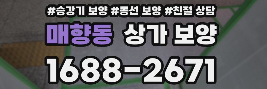 매향동 상가 보양