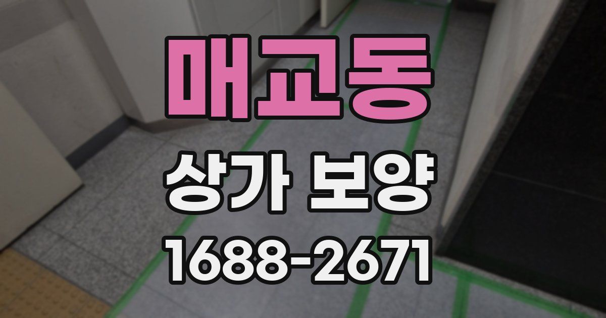 매교동 상가 보양