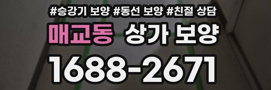 매교동 상가 보양