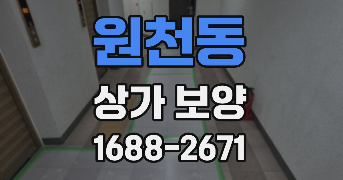 원천동 상가 보양
