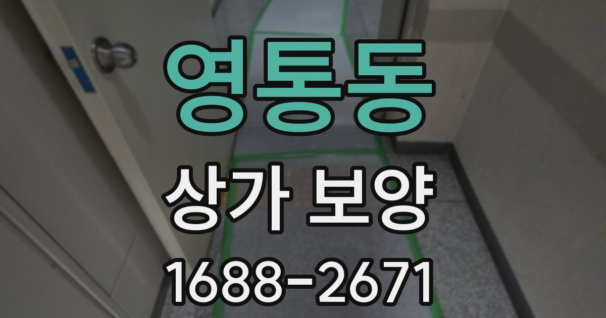 영통동 상가 보양