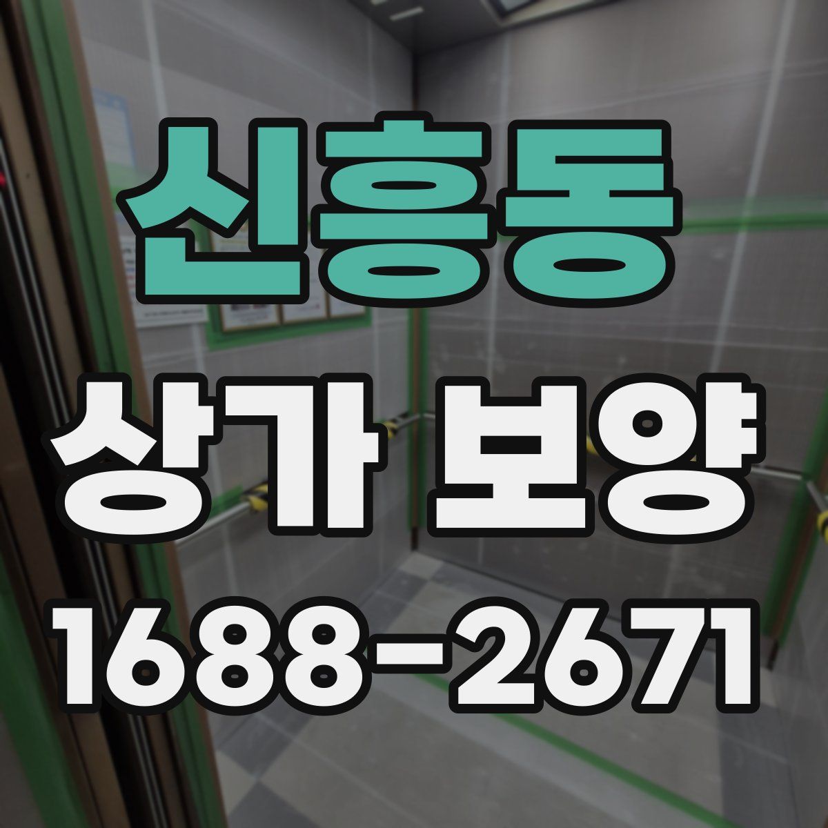 신흥동 상가 보양