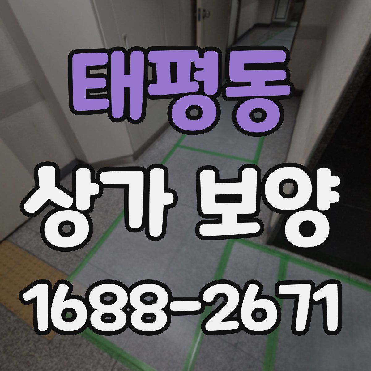 태평동 상가 보양