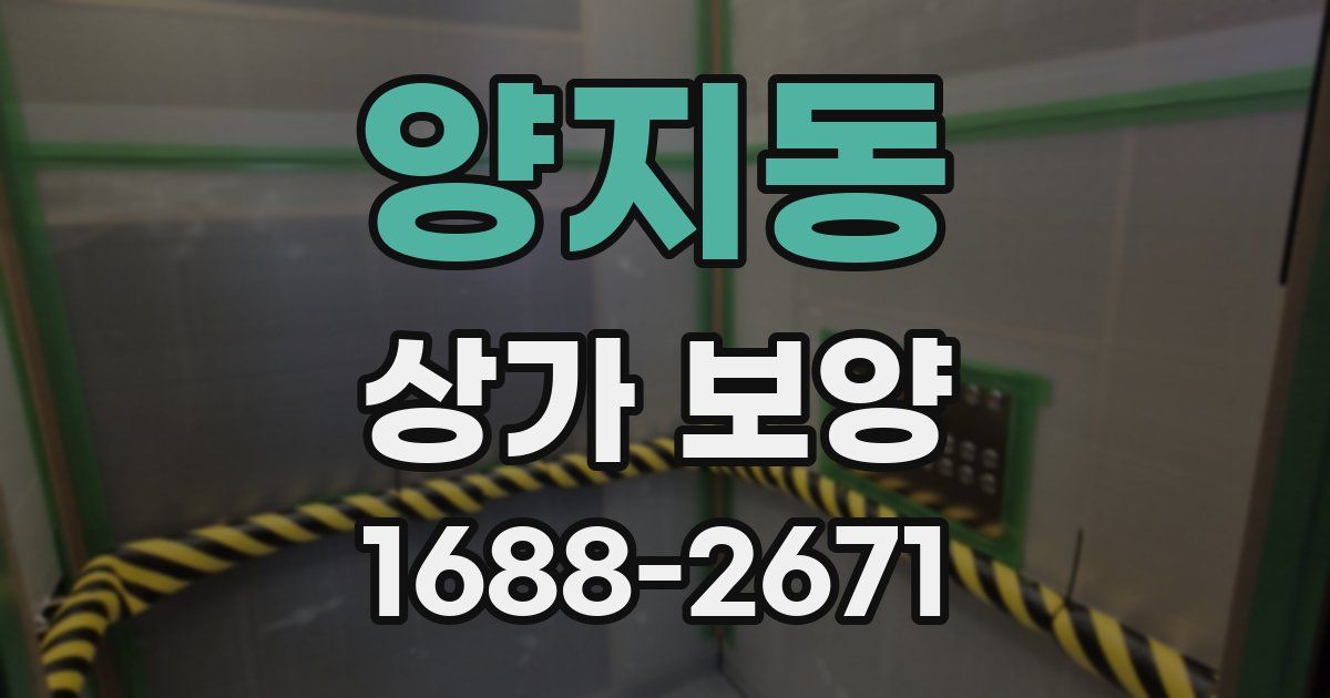 양지동 상가 보양