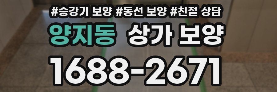 양지동 상가 보양
