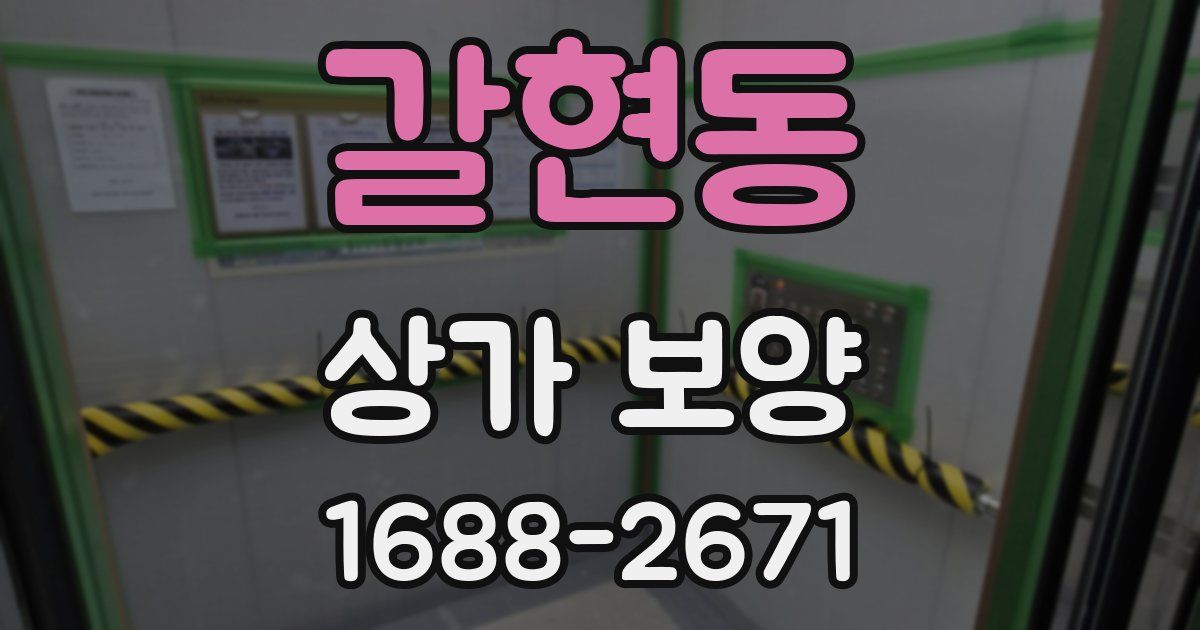 갈현동 상가 보양