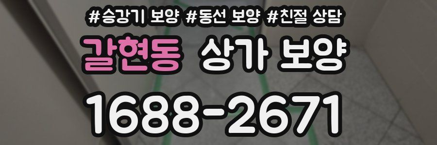 갈현동 상가 보양