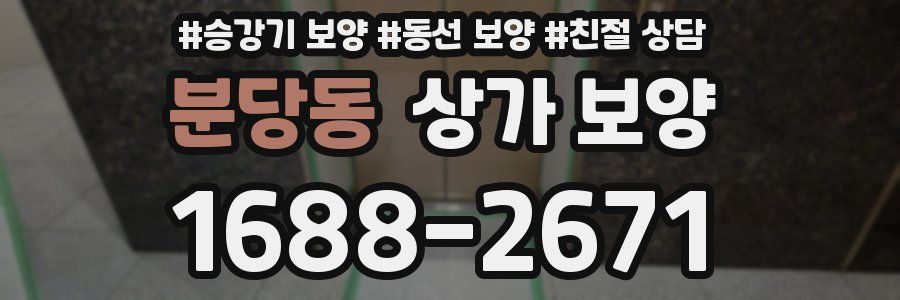분당동 상가 보양