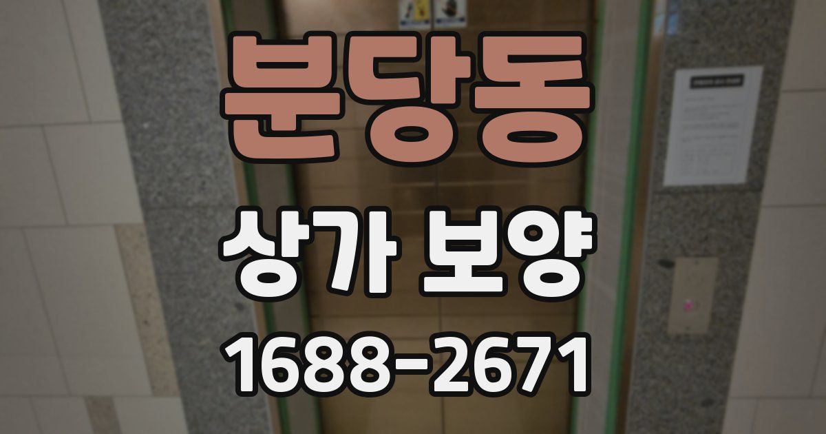 분당동 상가 보양