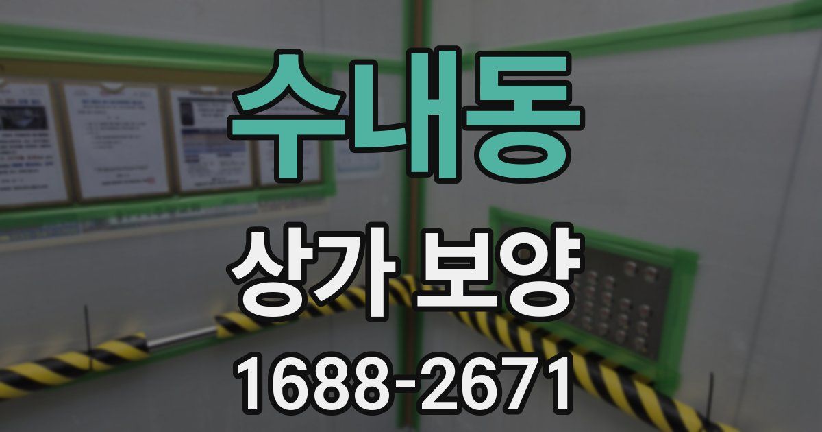 수내동 상가 보양