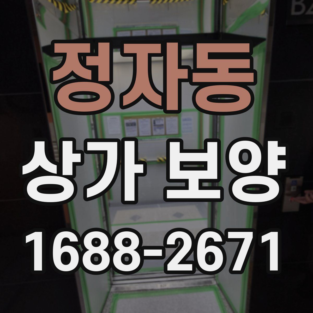 정자동 상가 보양