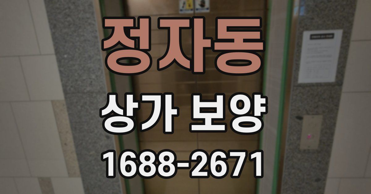 정자동 상가 보양
