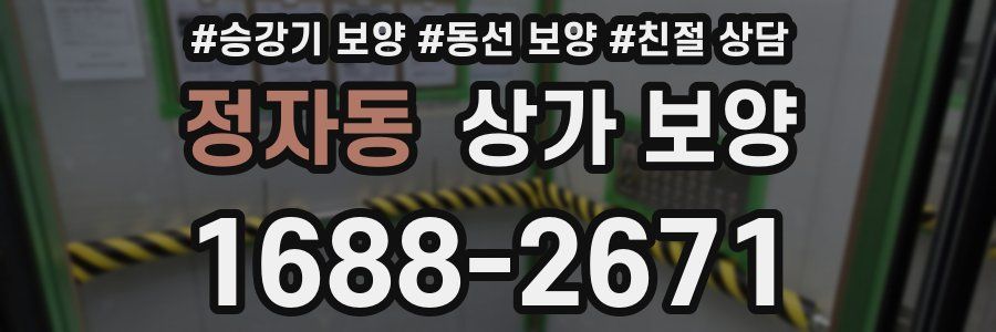정자동 상가 보양