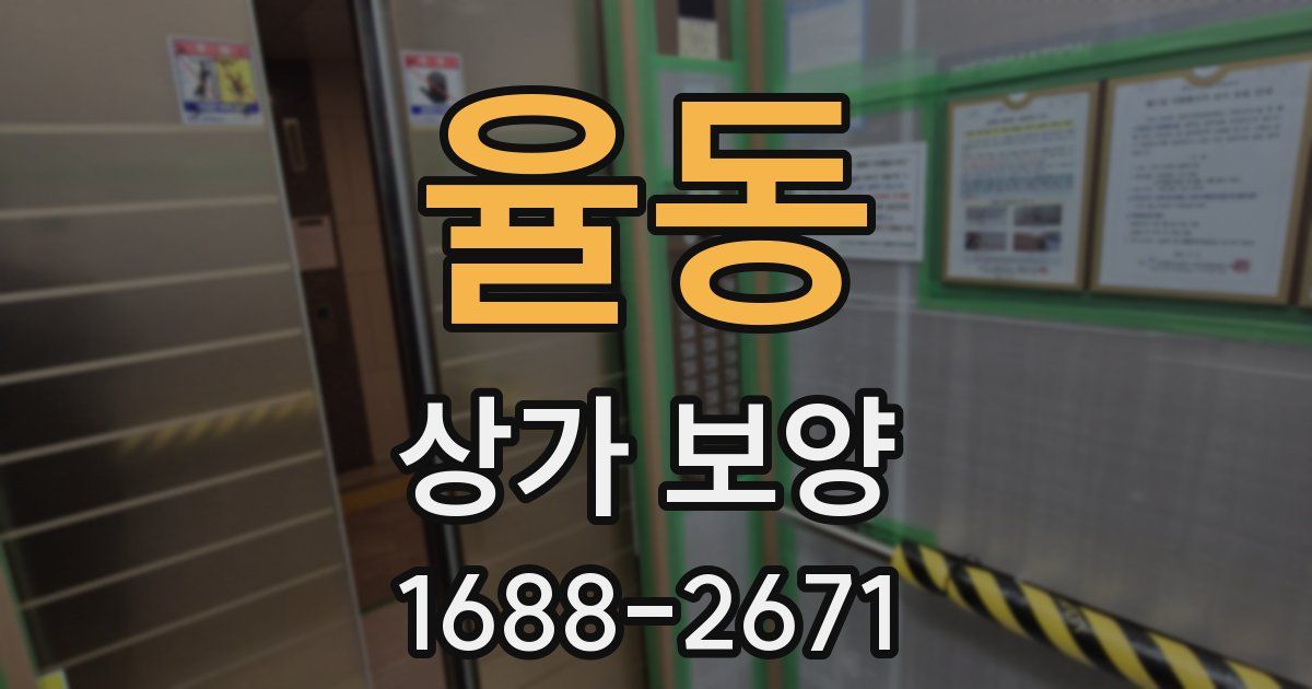 율동 상가 보양