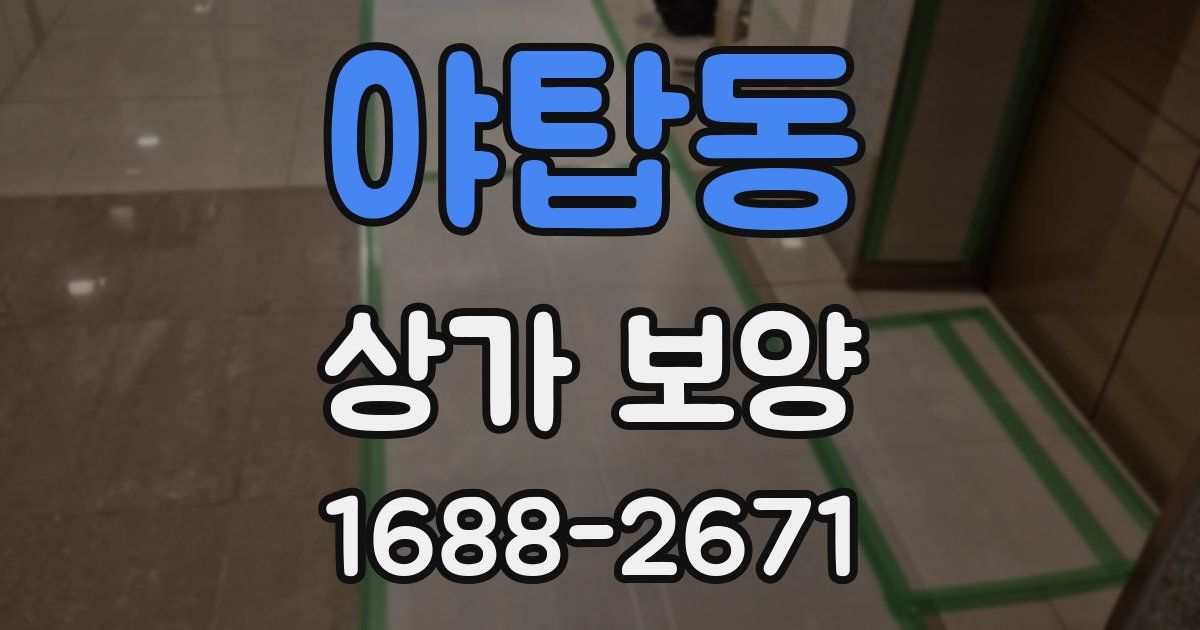 야탑동 상가 보양