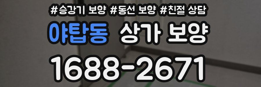 야탑동 상가 보양