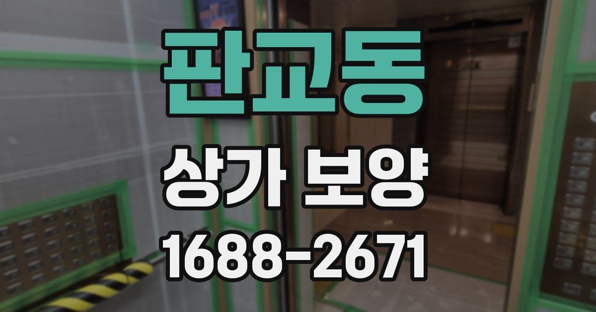 판교동 상가 보양