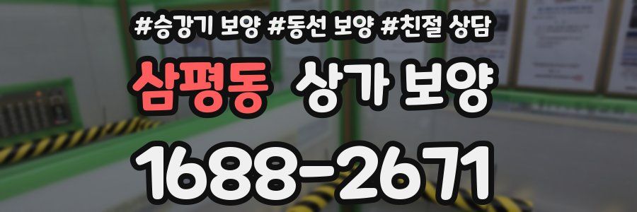 삼평동 상가 보양