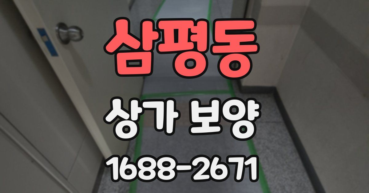 삼평동 상가 보양
