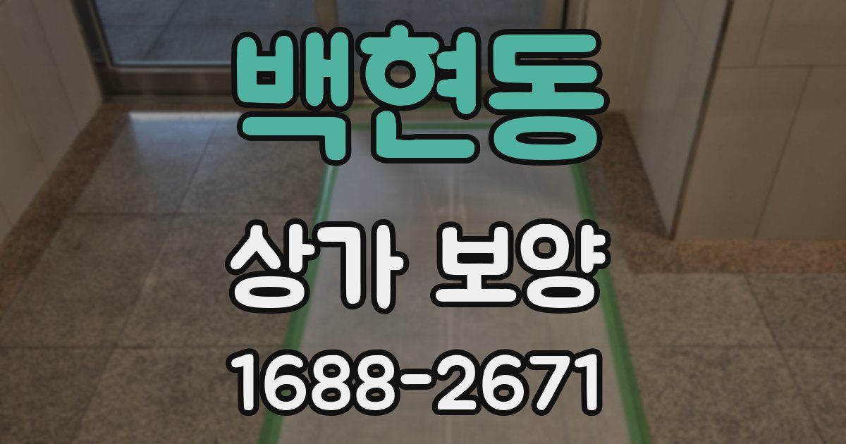 백현동 상가 보양