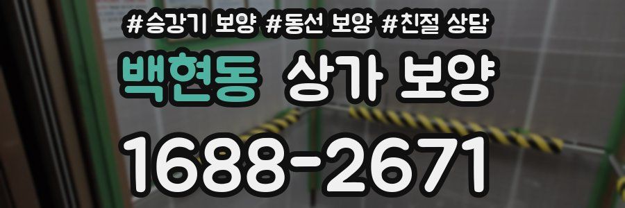백현동 상가 보양