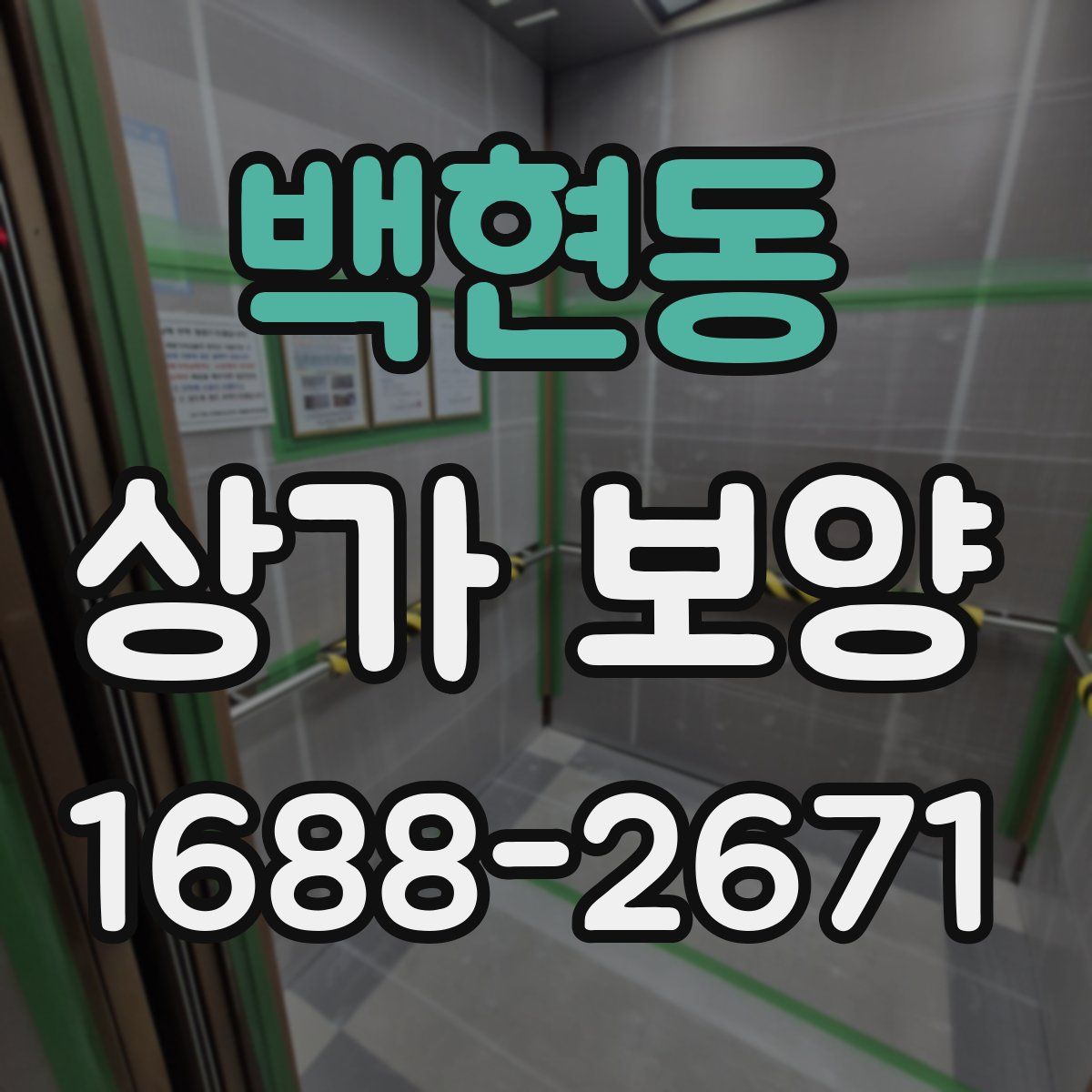 백현동 상가 보양