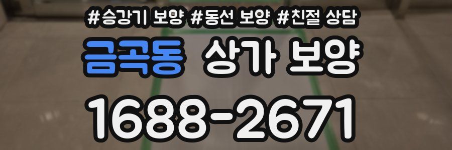 금곡동 상가 보양