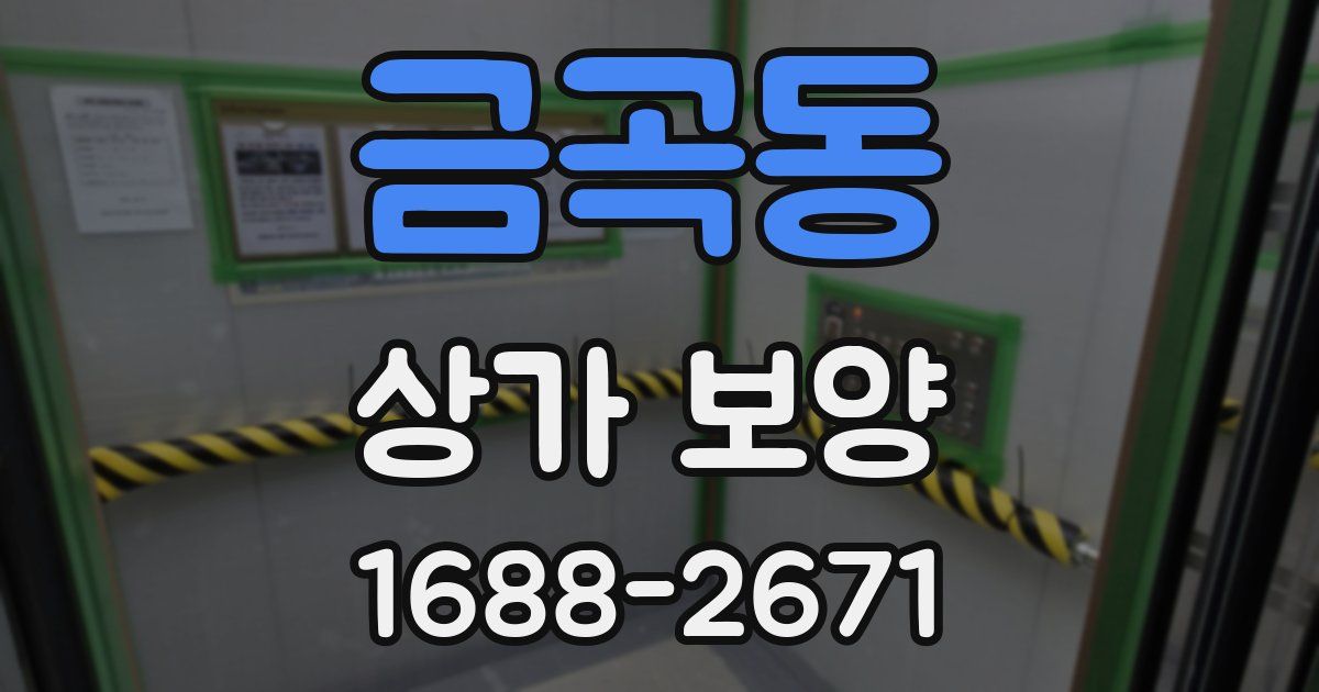 금곡동 상가 보양
