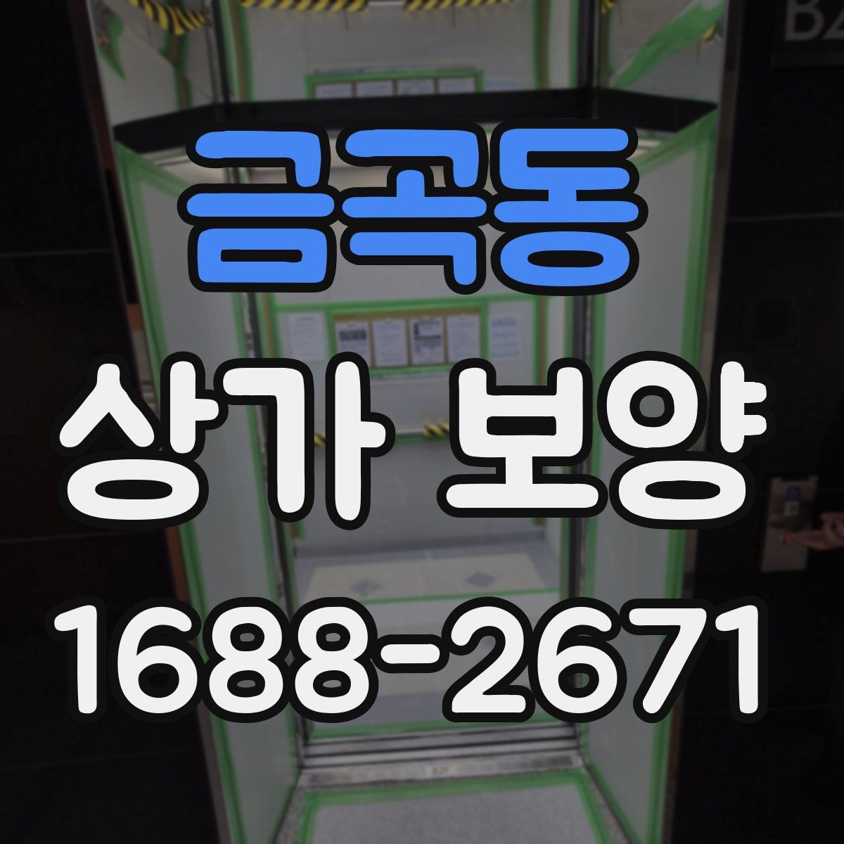 금곡동 상가 보양