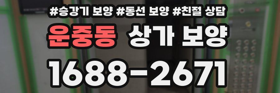 운중동 상가 보양
