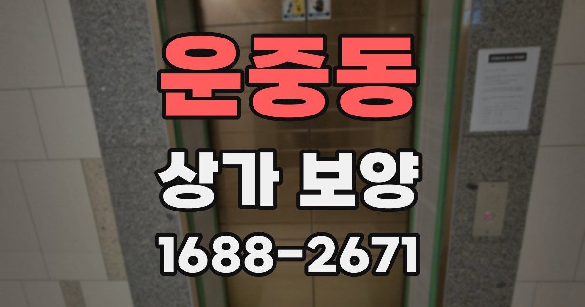 운중동 상가 보양