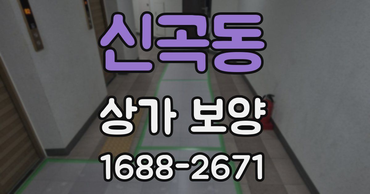 신곡동 상가 보양