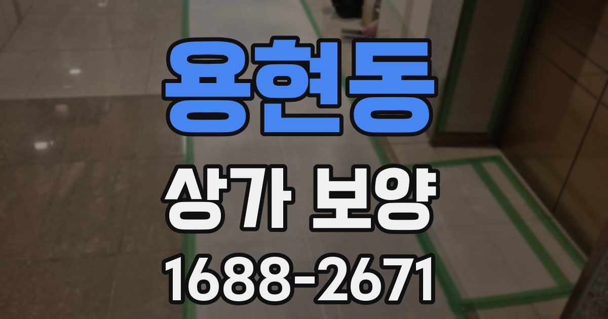 용현동 상가 보양