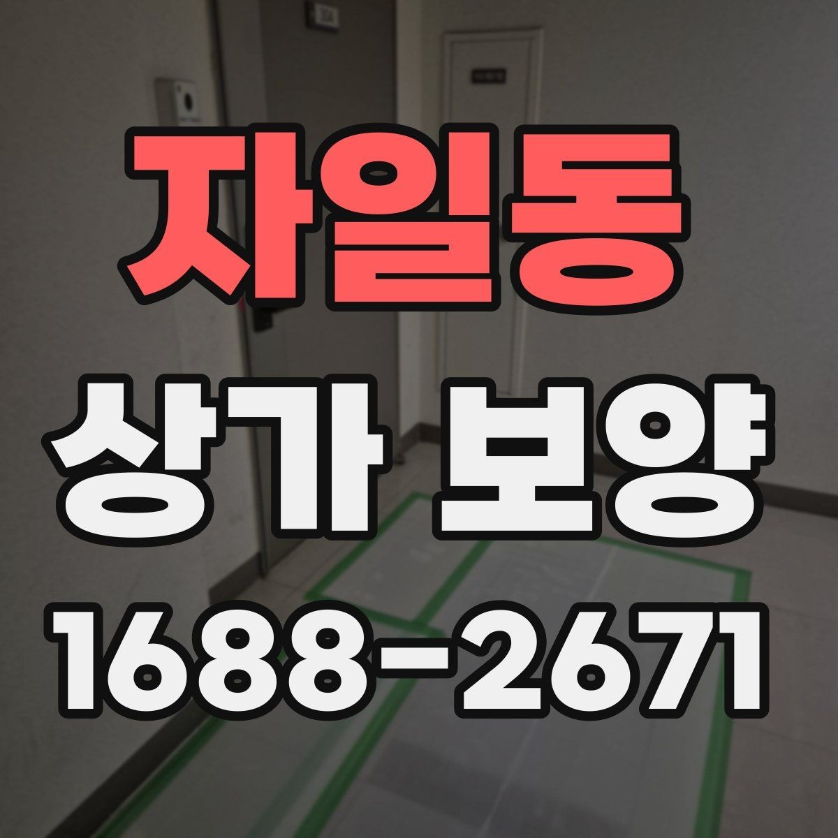 자일동 상가 보양 범위를 잘못 잡았을 때 생기는 문제